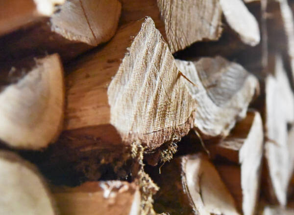 image8